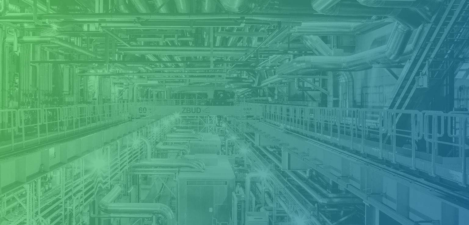 Management of raw materials and consumables ESG Report of the ENEA